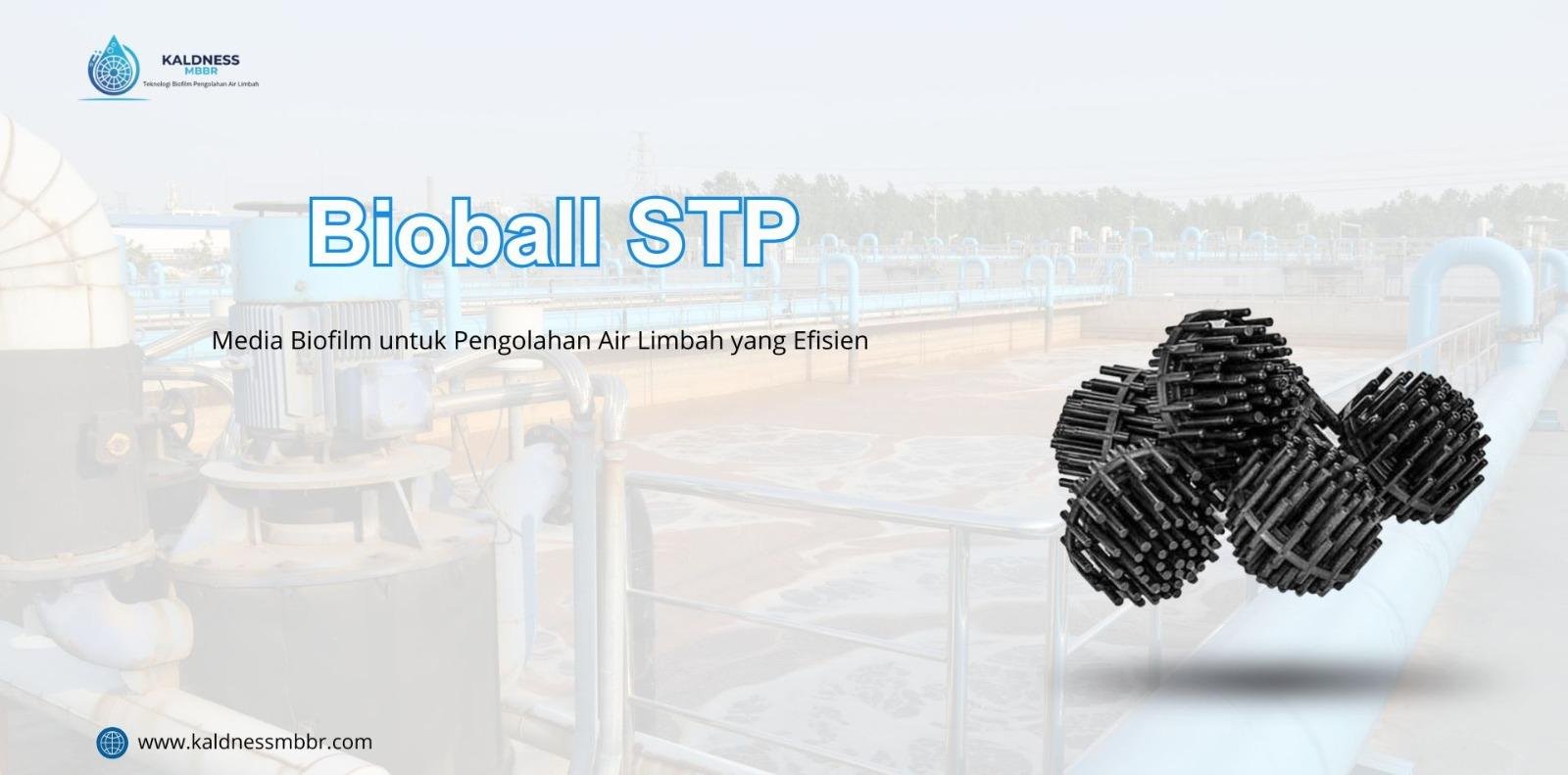 Bioball STP